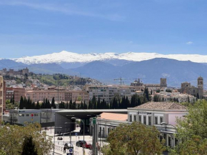 Pisito del gorrión